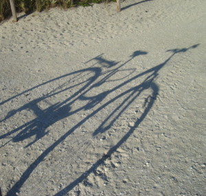 SoBeBikeShadow